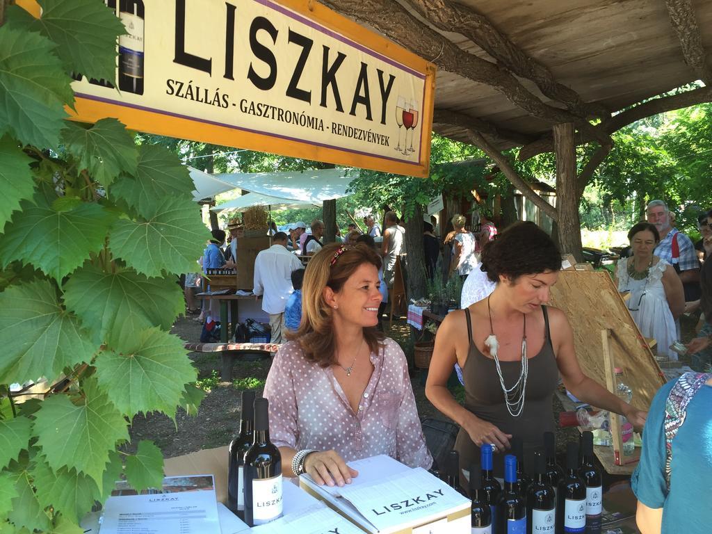 Liszkay Borkuria Ξενοδοχείο Monoszlo Εξωτερικό φωτογραφία
